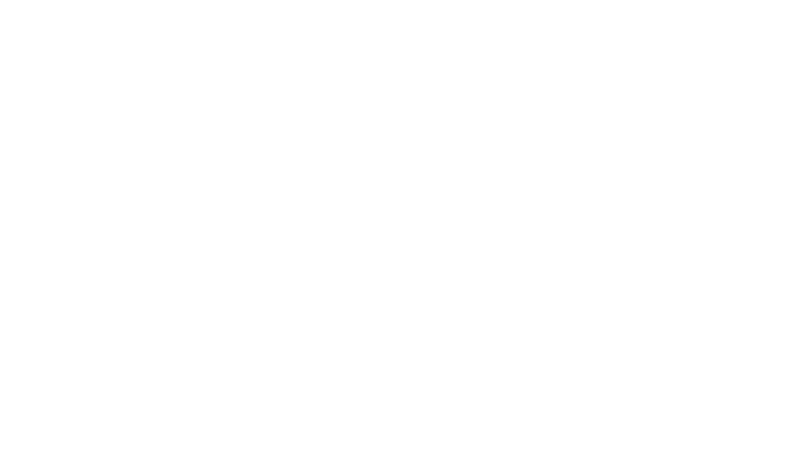 Dingii Mart