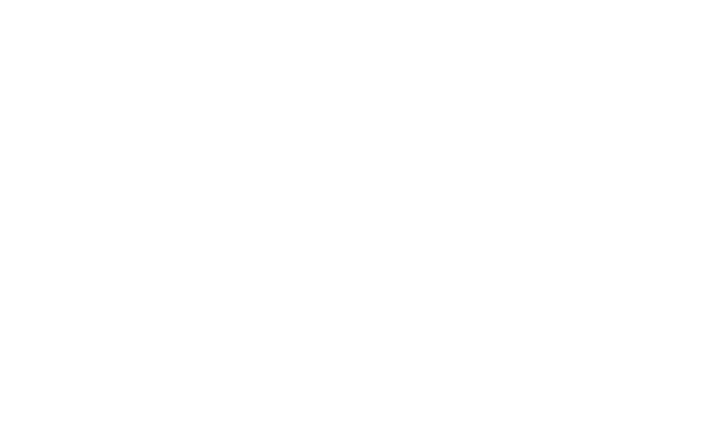 Dingii Mart